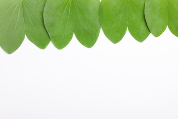 Happy Dussehra greeting card , green leaf.