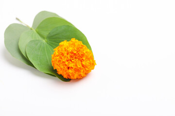 Indian Festival Dussehra, showing golden leaf (Piliostigma racemosum) and marigold flowers on white background.
