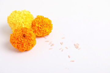 Marigold Flower for dasara Festival, Indian Festival flower decoration.