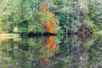 Beautiful reflections of autumn colors in a lake
