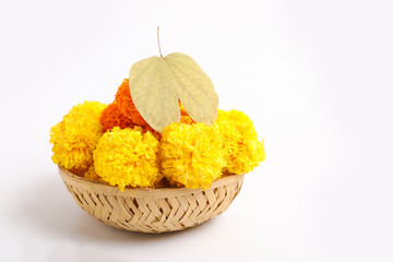 Indian Festival Dussehra, showing golden leaf (Piliostigma racemosum) and marigold flowers on white background.