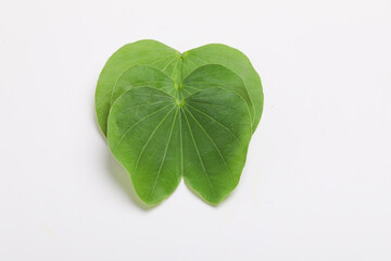 Happy Dussehra greeting card , green leaf.