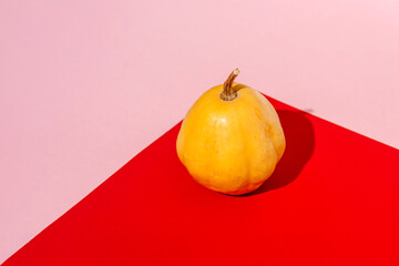 Pumpkin oa geometrical red and pink background. Minimal fall composition.