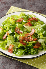 Southern Wilted Lettuce Salad With Hot Bacon Dressing closeup in the plate on the table. Vertical