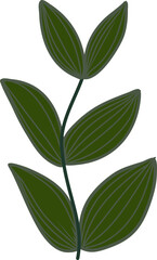 Illustration of plant