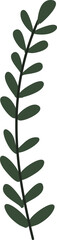 Illustration of plant