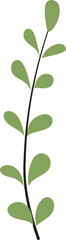 Illustration of plant