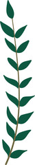 Illustration of plant