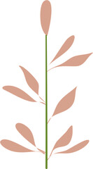Illustration of plant