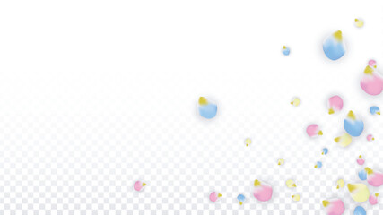 Vector Realistic Colorful Petals Falling on Transparent Background.  Spring Romantic Flowers Illustration. Flying Petals. Sakura Spa Design. Blossom Confetti. Design Elements for Wedding Decoration.