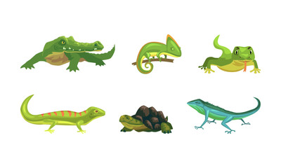 Set of amphibians. Chameleon, iguana, crocodile crawling animals cartoon vector illustration