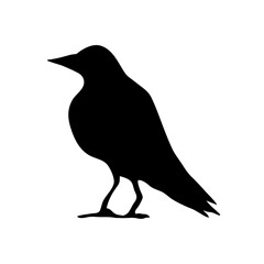 raven bird silhouette
