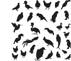 Bird silhouette set
