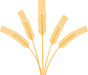 Ripe barley, wheat or rice spikes isolated stalk