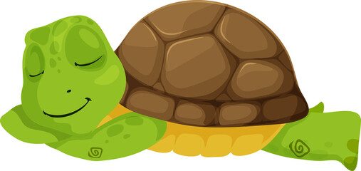 Sleeping turtle cartoon animal reptile tortoise