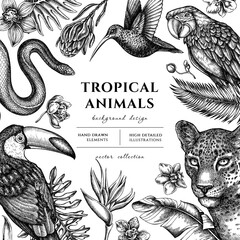 Fototapeta premium Tropical animals hand drawn illustration design. Background with sketch leopard, snake, hummingbird, toucan, scarlet macaw, monstera, banana palm leaves, strelitzia, protea, phalaenopsis.