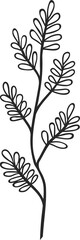 Vector thyme branch isolated seasoning herb icon