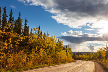 Autumn road