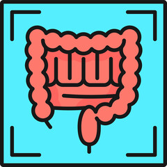 MRI diagnostics, gastrointestinal radiology scan