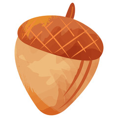 Acorn PNG Clipart Illustration