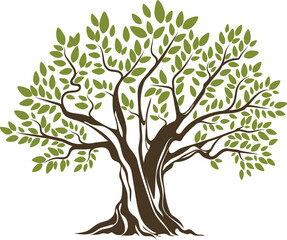 Fototapeta premium Olive tree vector icon. Plant isolated emblem