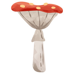 Toadstool Mushroom Amanita Muscaria Fly Agaric PNG Clipart Illustration