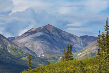 Fototapeta premium Polar tundra