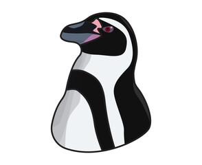 Obraz premium penguin