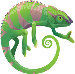 Chameleon vector icon, cartoon green lizard pet