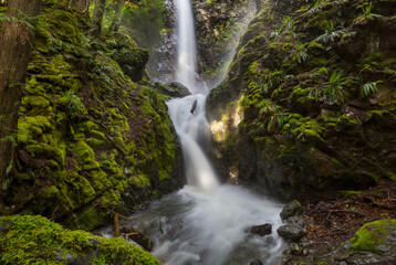 Waterfall in the forest