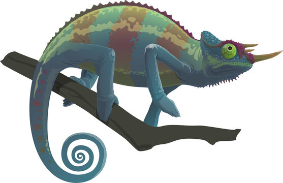Chameleon reptile sitting on branch