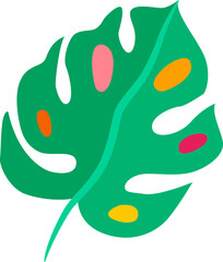Monstera leaf, Mexican tree plant leafage icon