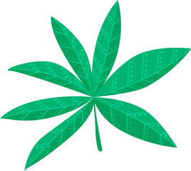 Mexican tree plant leafage Monstera leaf icon