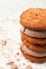Fototapeta na wymiar Concept of sweet food, cookies with ice cream, close up