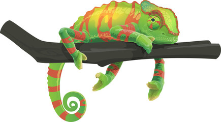 Green chameleon lizard lying on tree branch