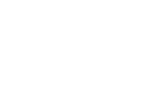 Branch decoration, spring autumn decor element