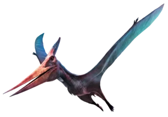 Rolgordijnen Pteranodon flying dinosaur 3D illustration  © warpaintcobra
