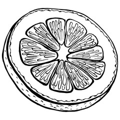 Obraz premium Png illustration. Citrus fruit slice. Hand drawn. 