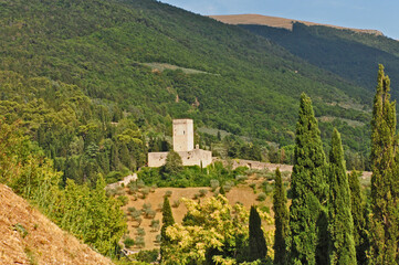Fototapeta na wymiar Assisi, la Rocca Maggiore