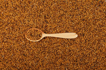 White mustard seeds and wooden spoon, top view. Selective focus, copy space. Mustard seeds have...