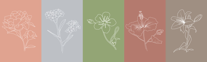 Set of hand-drawn colors. Contour flowers. White isolated sketch vector on color background.