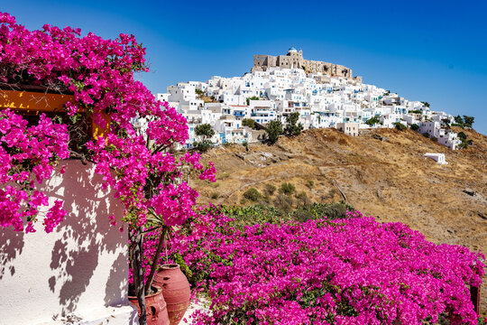 Bougainvillea i widok na Greckie miasto Astypalea