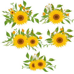 Beautiful floral collection with sunflowers