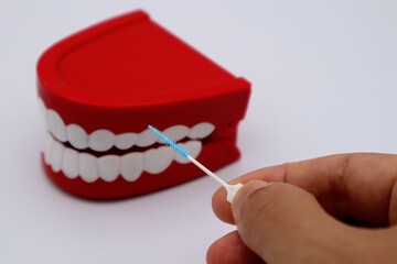 歯間ブラシで歯の隙間の清掃をイメージ