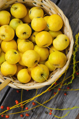 Top view flat lay on an old wooden gray table on which asparagus blooms seeds with red berries and a wicker basket with yellow apples, copy space.