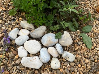 Close up of mound of large smooth white beach stones on top of small smooth pebbles covering the soil ground in mediterranean planting of exotic succulents in garden bed with plant base showing
