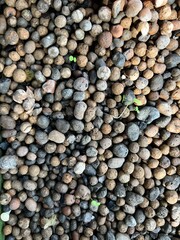 Close up of small stones grey beige brown shades stone pebble different shapes layers covering soil in exotic garden plant bed planting outside environment in day light on cold bright day