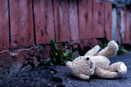 Teddy bear toy lies outdoors on dirty road as symbol of children's loneliness, pain, loss childhood and future.