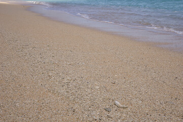 footprints on the beach