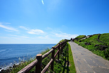 beautiful view with seaside walkway